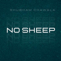 No sheep