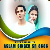 Aslam Singer SR 8686