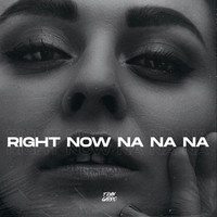 Right Now (Na Na Na) (Remix)