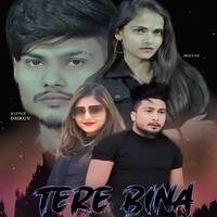 Tere Bina