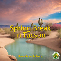 Spring Break in Tucson