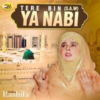 Tere Bin Ya Nabi