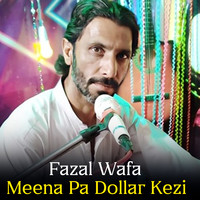 Meena Pa Dollar Kezi