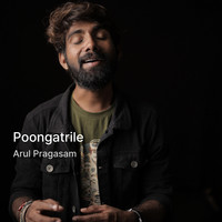 Poongatrile