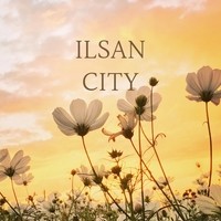 Ilsan City