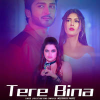 Tere Bina