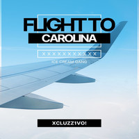 Flight to Carolina