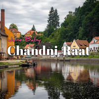 Chandni Raat Song Download: Play & Listen Chandni Raat all MP3 Song by