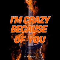 I'm Crazy Because of You