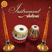 Instrument (Shehnai)
