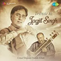 Tribute To Jagjit Singh By Ustad Shujaat Husain Khan