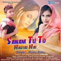 Sanam Tu To Harjai Hai