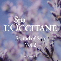 Sound of Spa, Vol. 2