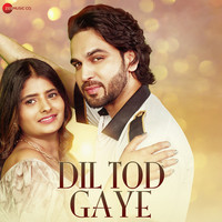 Dil Tod Gaye