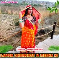 Lamba Ghunghat M Meena ki