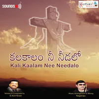 Kali Kaalam Nee Needalo