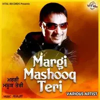 Margi Mashooq Teri