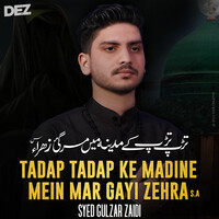 Tadap Tadap Ke Madine Main Mar Gayi Zehra sa