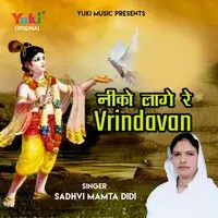 Neeko Laage Re Vrindavan