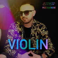 Violin