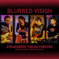 Strawberry Fields Forever (2nd Annual Dear John Concert Live)