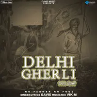 Delhi Gherli