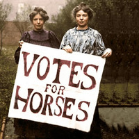 Votes for Horses