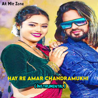 Hay Re Amar Chandramukhi ( Instrumental )