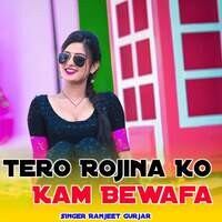 Tero Rojina Ko Kam Bewafa