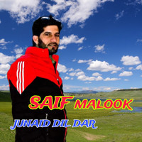 Saif malook