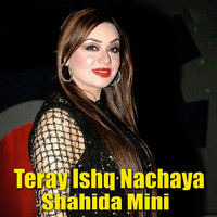 Teray Ishq Nachaya