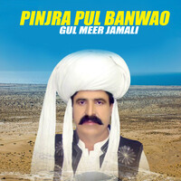 Pinjra Pul Banwao