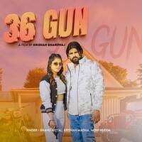 36 Gun