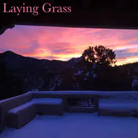 Laying Grass