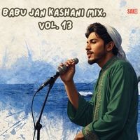 Babu Jan Kashani Mix, Vol. 13