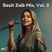 Basit Zaib Mix, Vol. 2