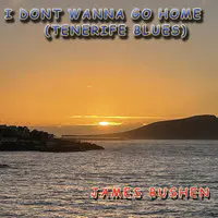 I Don’t Wanna Go Home (Tenerife Blues)