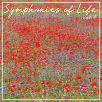 Symphonies Of Life, Vol. 4