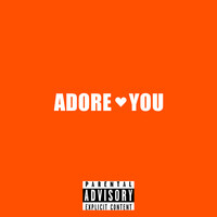 Adore You