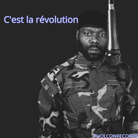 C'est la révolution.