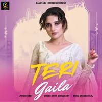 Teri Gaila