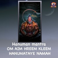 Hanuman Mantra Om Aim Hrim Klim Hanumataye Namah