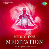 Music For Meditation Pt Brij Bhushan Kabra