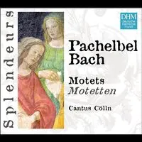 Jauchzet dem Herrn, P. 213 Song|Cantus CÃ¶lln|DHM Splendeurs