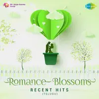 Romance Blossoms - Recent Hits