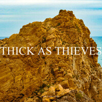 Thick as Thieves