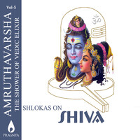 Amruthavarsha, Vol. 5 (Shlokas on Shiva)
