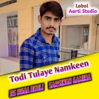 Todi Tulaye Namkeen