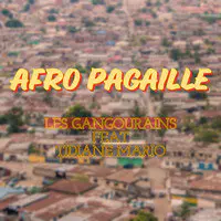 Afro-Pagaille