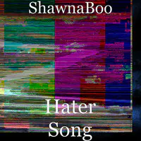 Hater Song